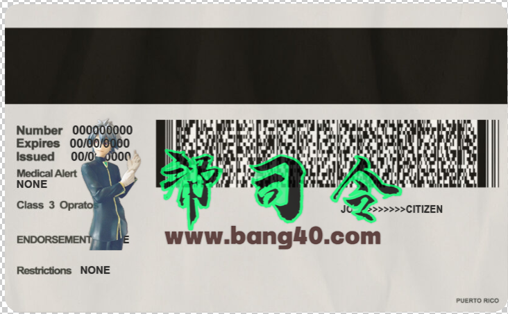 图片[2]-新的波多黎各驾驶执照模板（PSD格式）