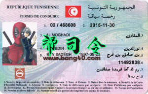 突尼斯驾驶执照PSD模板Tunisian driver's license PSD template-帮司令