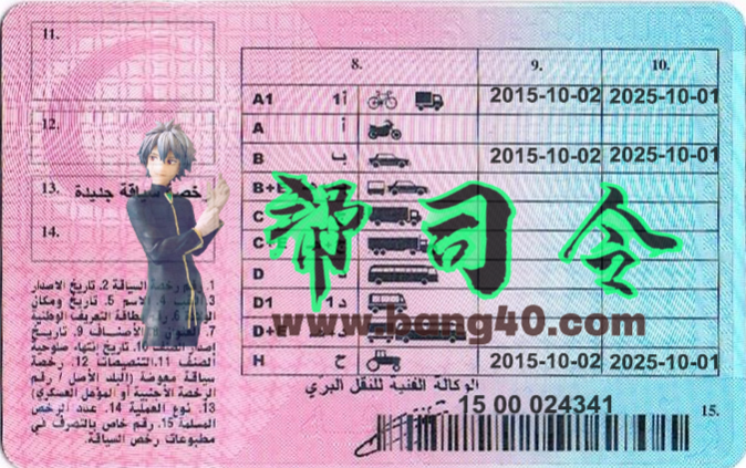 图片[2]-突尼斯驾驶执照PSD模板