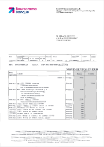 法国证券银行账户报表模板French Securities and Bank Account Statement Template-帮司令