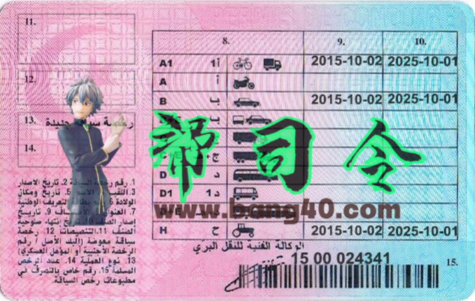 图片[2]-突尼斯驾驶执照Photoshop模板