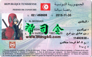 突尼斯驾驶执照Photoshop模板Tunisian driver's license Photoshop template-帮司令