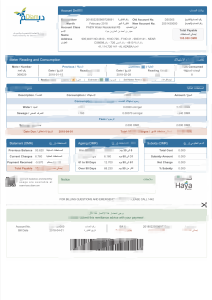 阿曼PAEW水电账单模板（Word和PDF格式）Oman PAEW Utility Bill Template (Word and PDF formats)-帮司令