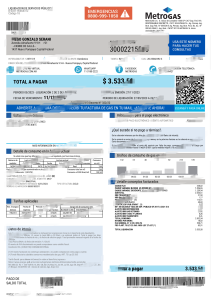 阿根廷MetroGAS公用事业账单（Word和PDF格式）Argentina MetroGAS utility bill (Word and PDF formats)-帮司令