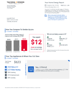 美国塔科马公共事业账单模板，Word和PDF格式United StatesTacoma Public Utilities Billing Statement Template in word and pdf format-帮司令