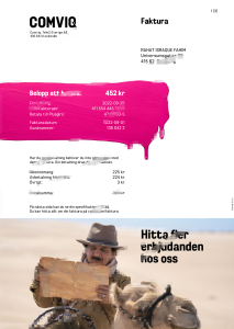 瑞典 Comviq 账单模板（Word 和 PDF 格式）Sweden Comviq Billing Statement Template in word and pdf format-帮司令