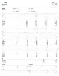 美国 UKG 公司工资单 Word 和 PDF 模板USA UKG Inc Paystub Word And PDF Template-帮司令