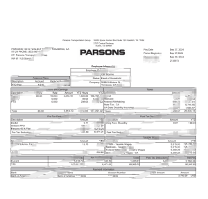 美国帕森斯运输集团工资单 Word 和 PDF 模板USA Parsons Transportation Group Paystub Word And PDF Template-帮司令