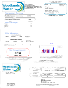 美国伍德兰兹水务账单 Word 和 PDF 模板USA Woodlands Water Utility Bill Word And PDF Template-帮司令