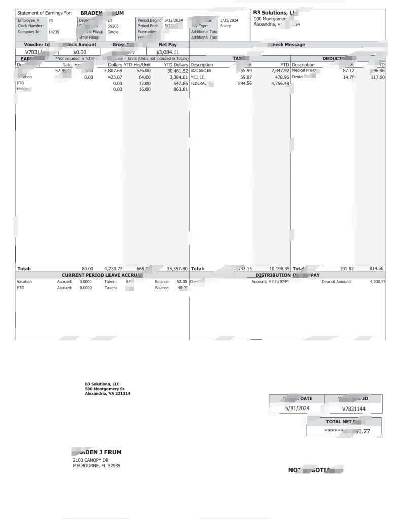 美国 B3 Solutions LLC 工资单 Word 和 PDF 模板