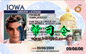 爱荷华州驾驶执照 PSD 模板 Rev2022 – 高分辨率Lowa Driving License PSD Template Rev2022 – High DPI-帮司令