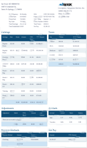 美国 Apex 工资单 Word 和 PDF 模板（2 页）USA Apex Payroll Word And PDF Template (2 Pages)-帮司令
