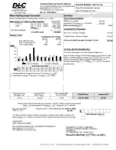 美国杜肯电力公司公用事业账单模板（Word 和 PDF 格式）United States Duquesne Light Company Utility Bill Template in Word and PDF Format-帮司令