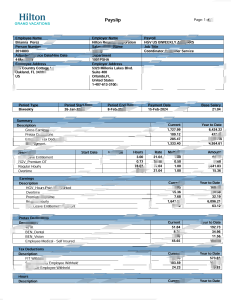 美国希尔顿度假俱乐部工资单 Word 和 PDF 模板（7 页）USA Hilton Grand Vacations Pay Stub Word And PDF Template (7 Pages)-帮司令