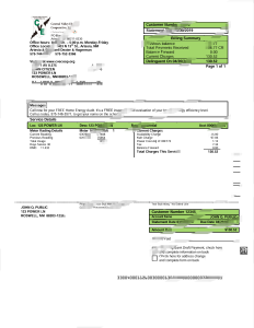 美国新墨西哥州中央谷地电费账单 Word 和 PDF 模板USA New Mexico Central Valley Electric Bill Word And PDF Template-帮司令