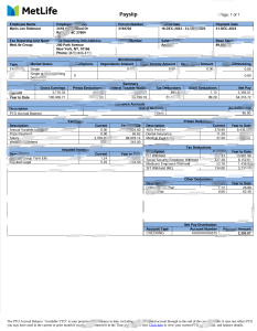 美国大都会人寿工资单 Word 和 PDF 模板USA MetLife Pay Stub Word And PDF Template-帮司令