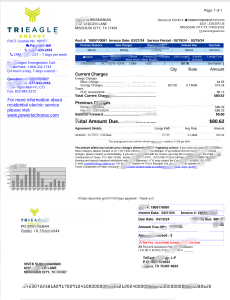 美国TriEagle能源公用事业账单模板（Word和PDF格式）United States TriEagle Energy Utility Bill Template in Word and PDF Format-帮司令