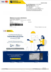 厄瓜多尔银行皮钦查信用卡对账单Word和PDF模板Ecuadorian Bank Pichincha Credit Card Statement Word and PDF Templates-帮司令