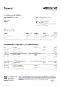 立陶宛 Revolut 银行对账单 Word 和 PDF 模板（11 页）Lithuania Revolut Bank Statement Word And PDF Template (11 Pages)-帮司令