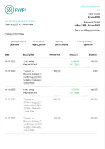 阿联酋Pyypl账户对账单Word和PDF模板（7页）UAE Pyypl account statement template (Word and PDF) (7 pages)-帮司令