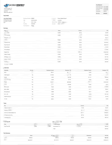 美国Jacobus能源工资单Word和PDF模板Jacobus Energy Payroll Templates (USA)-帮司令
