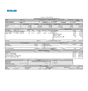 美国Ecolab财报表Word和PDF模板Ecolab US Financial Statements (Word and PDF Templates)-帮司令