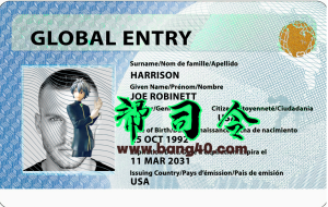 美国全球入境卡PSD模板US Global Arrival Card PSD Template-帮司令