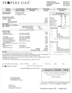 美国人民燃气公用事业账单模板（Word 和 PDF 格式）USA Peoples Gas Utility Bill Template In Word And PDF Format-帮司令